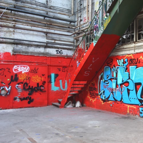 Professionelle Graffitientfernung durch Graffitireiniger